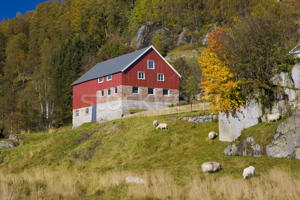 Kvaevemoen, Norway Stock photo © phbcz