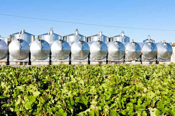 ферментация регион Франция сельского хозяйства цистерна Сток-фото © phbcz