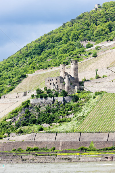 ruins of Ehrenfels Castle, Rhineland-Palatinate, Germany Stock photo © phbcz