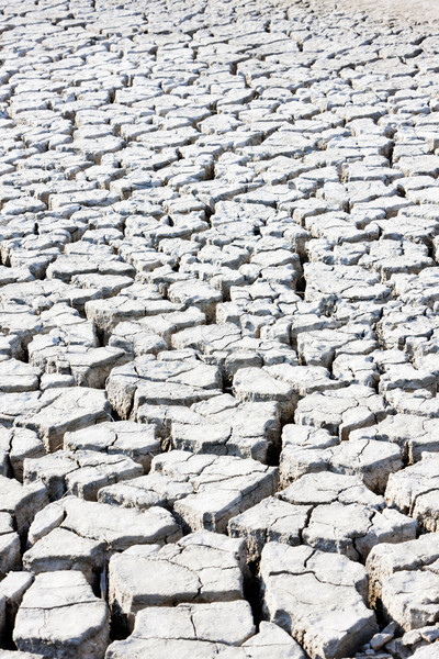dry land, Parc Regional de Camargue, Provence, France Stock photo © phbcz