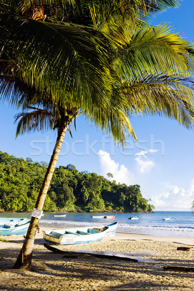 Maracas Bay, Trinidad Stock photo © phbcz
