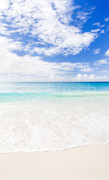 Enterprise Beach, Barbados, Caribbean Stock photo © phbcz