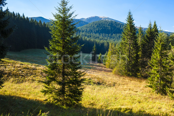 Nizke Tatry (Low Tatras), Slovakia Stock photo © phbcz