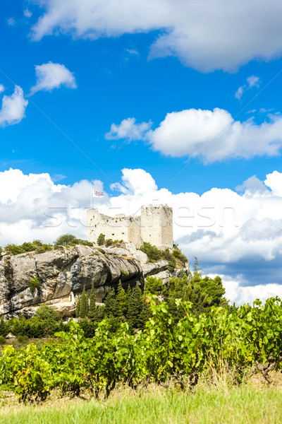 ruins of castle in Vaison-la-Romaine with vineyard, Provence, Fr Stock photo © phbcz
