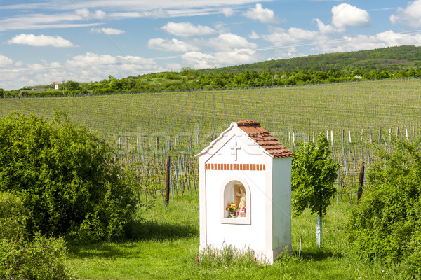 God's torture near Hnanice with spring vineyard, Southern Morav Stock photo © phbcz