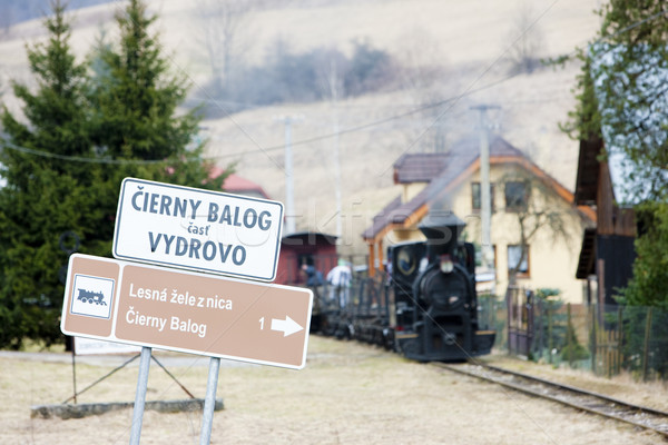 Stok fotoğraf: Buhar · tren · demiryolu · Slovakya · imzalamak