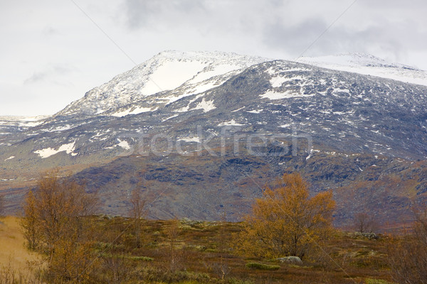Jotunhejme National Park, Norway Stock photo © phbcz