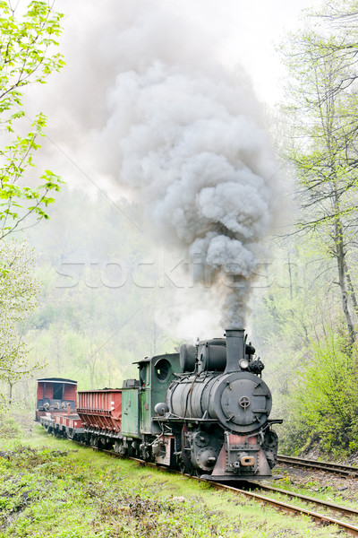 Foto stock: Estreito · ferrovia · trem · vapor · ao · ar · livre