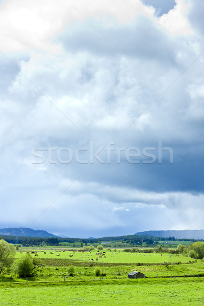 Landschap vallei hoogland Schotland Stockfoto © phbcz