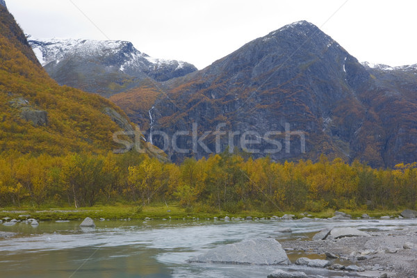 landscape near Brigsdal, Norway Stock photo © phbcz