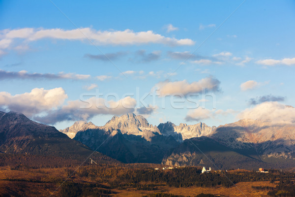 Berg westlichen groß Slowakei Landschaft Europa Stock foto © phbcz