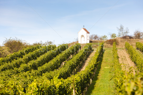 God's torture near Hnanice with vineyard, Southern Moravia, Cze Stock photo © phbcz