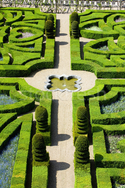 Villandry Castle's garden, Indre-et-Loire, Centre, France Stock photo © phbcz