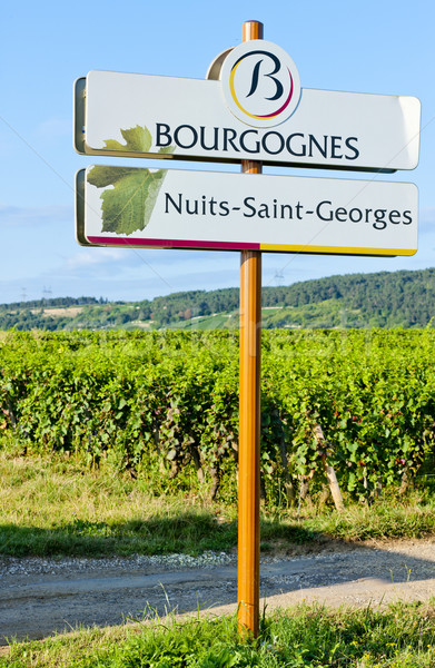 Nuits-Saint-Georges, Burgundy, France Stock photo © phbcz
