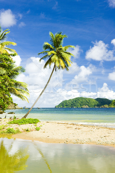 Batteaux Bay, Tobago Stock photo © phbcz