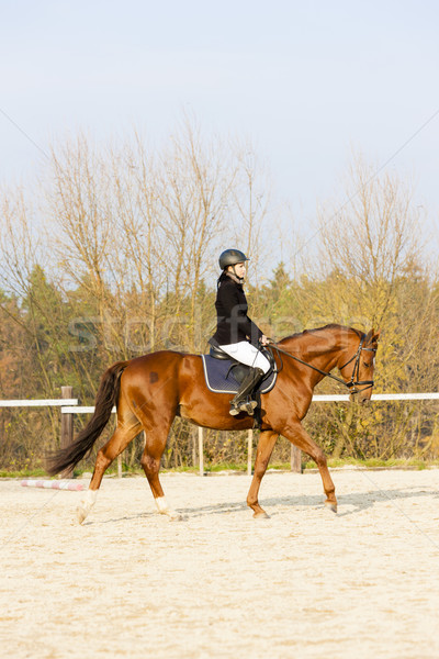Paardenrug vrouwen paard lopen ontspannen Stockfoto © phbcz