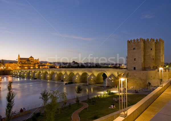 Roman bridge with Calahorra tower at night, Cordoba, Andalusia,  Stock photo © phbcz