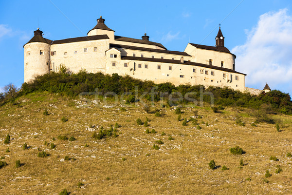Foto stock: Castelo · Eslováquia · arquitetura · europa · história · ao · ar · livre