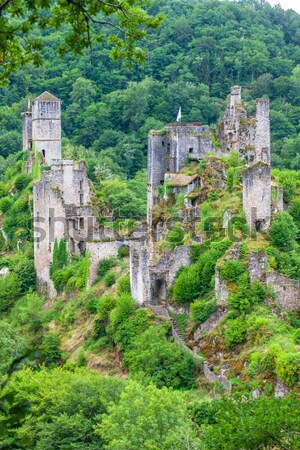 Ruinen grau Abtei nördlich Irland Gebäude Stock foto © phbcz