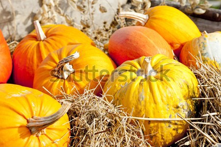 still life of pumpkins on cart Stock photo © phbcz
