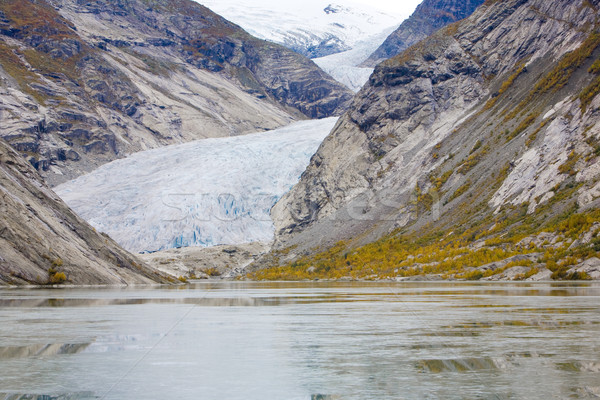 Nigardsbreen Glacier, Jostedalsbreen National Park, Norway Stock photo © phbcz