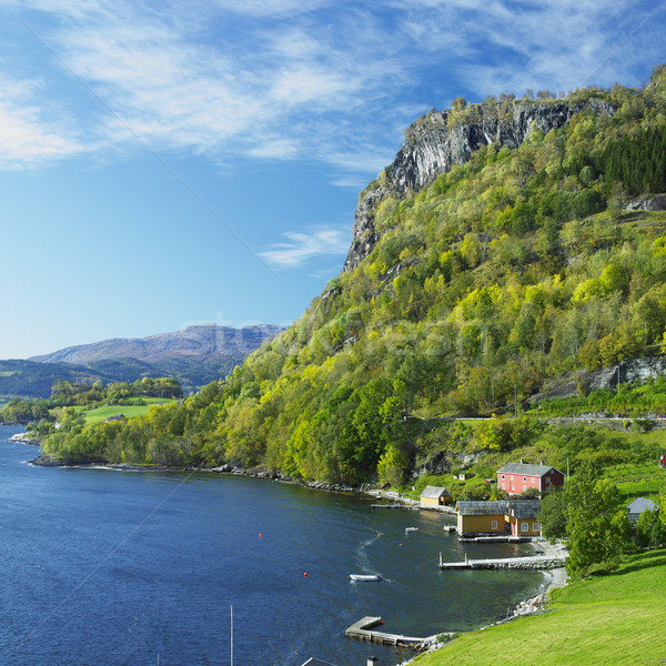 landscape by Haldanger fjord, Norway Stock photo © phbcz