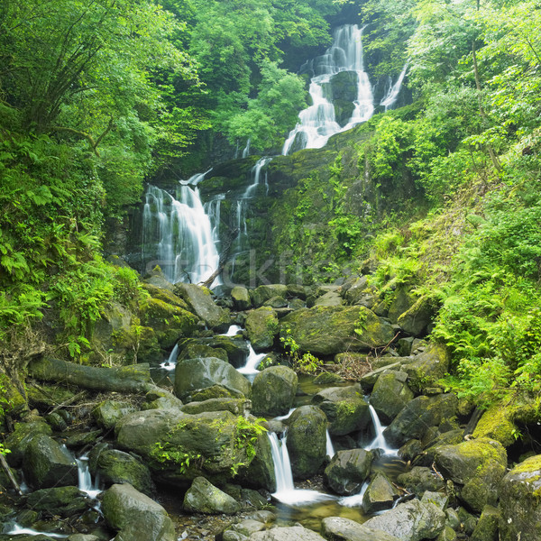 Torc Waterfall, Killarney National Park, County Kerry, Ireland Stock photo © phbcz