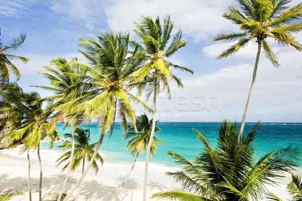 Bottom Bay, Barbados, Caribbean Stock photo © phbcz