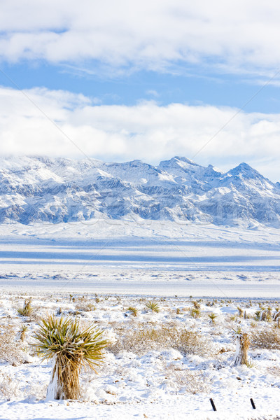 Góry Las Vegas Nevada USA krajobraz śniegu Zdjęcia stock © phbcz