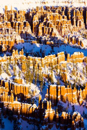 Desfiladeiro parque inverno Utah EUA paisagem Foto stock © phbcz