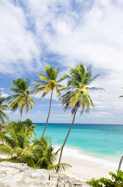 Bottom Bay, Barbados, Caribbean Stock photo © phbcz