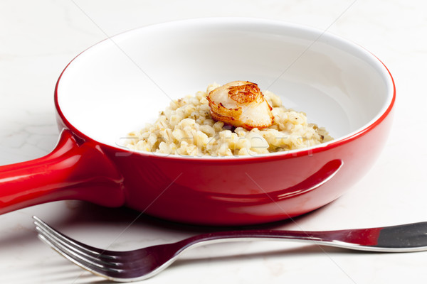 fried Saint Jacques mollusc with pearl barley risotto Stock photo © phbcz