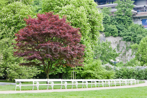 park in Karlovy Vary (Carlsbad), Czech Republic Stock photo © phbcz