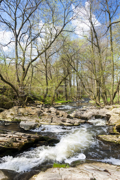 spring landscape with Vyrovka brook, Czech Republic Stock photo © phbcz