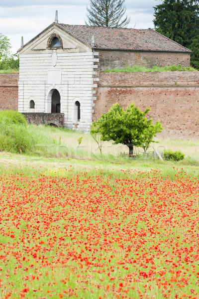 Сток-фото: укрепление · город · Италия · цветок · здании · стены