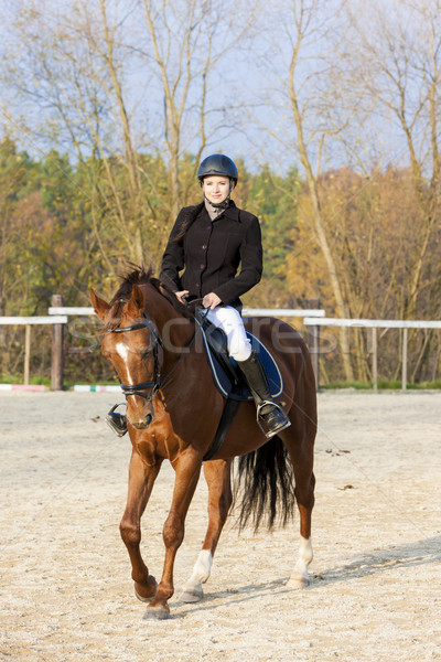 Stock photo: equestrian on horseback