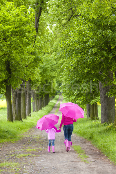 [[stock_photo]]: Mère · fille · parapluies · printemps · allée · femme