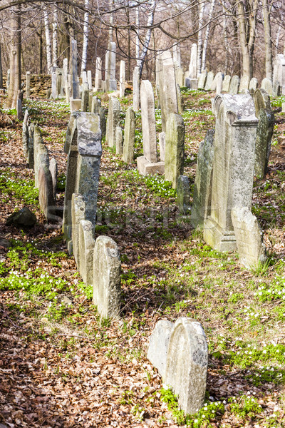 кладбище Чешская республика Европа серьезную кладбища улице Сток-фото © phbcz