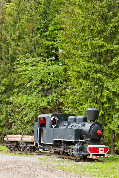Dampflokomotive Museum Dorf Slowakei Reise Freien Stock foto © phbcz