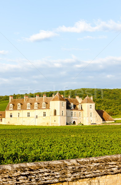 Clos Blanc De Vougeot Castle, Burgundy, France Stock photo © phbcz