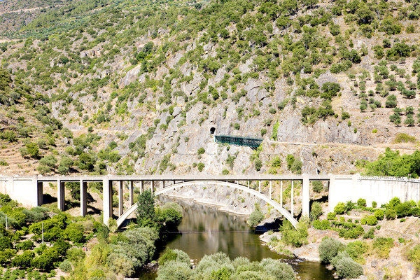 railway and road viaducts in Douro Valley, Portugal Stock photo © phbcz