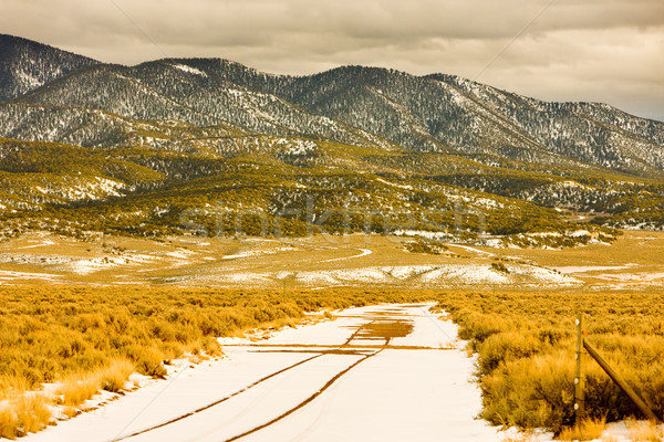 San Juan Mountains, Colorado, USA Stock photo © phbcz