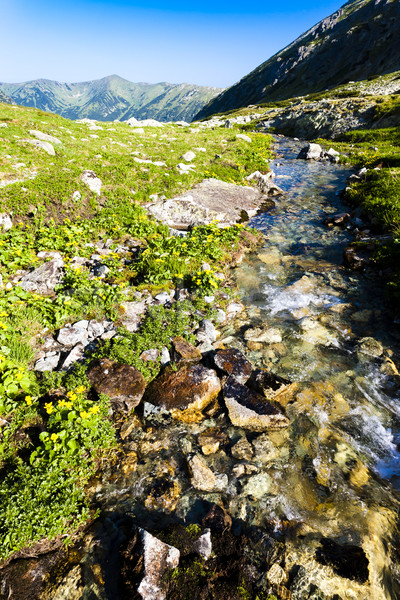 Stock fotó: Völgy · magas · Szlovákia · tájkép · Európa · folyam