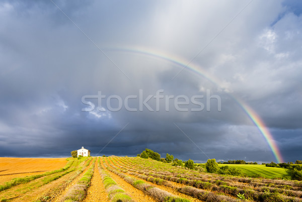 chapel with lavender field and rainbow, Plateau de Valensole, Pr Stock photo © phbcz