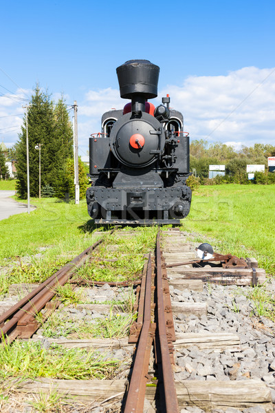 steam locomotive, Viglas, Slovakia Stock photo © phbcz