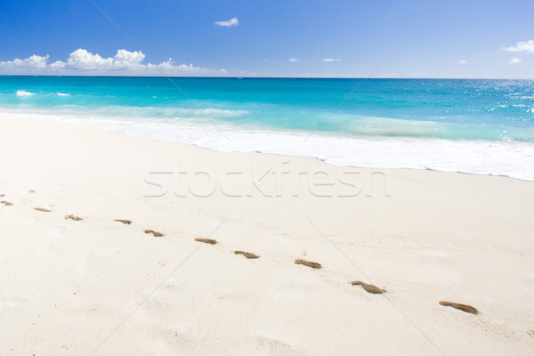Barbados Karaibów krajobraz morza lata piasku Zdjęcia stock © phbcz