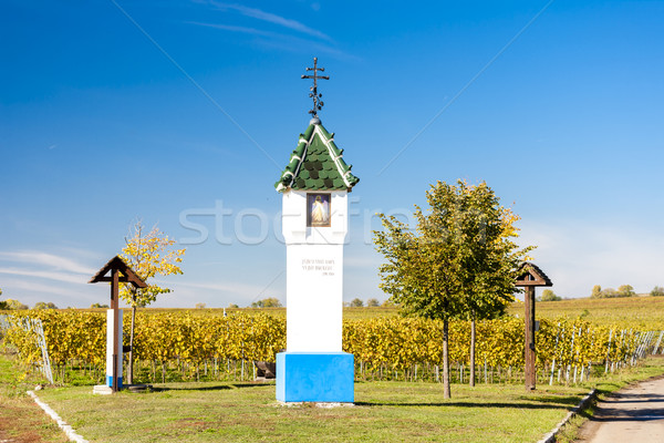 God's torture with vineyard near Velke Bilovice, Czech Republic Stock photo © phbcz