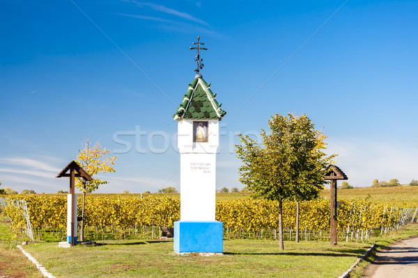 Folter Weinberg Tschechische Republik Herbst Architektur Europa Stock foto © phbcz