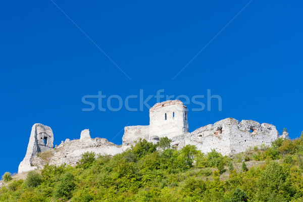 Ruiny zamek Słowacja budynku architektury historii Zdjęcia stock © phbcz