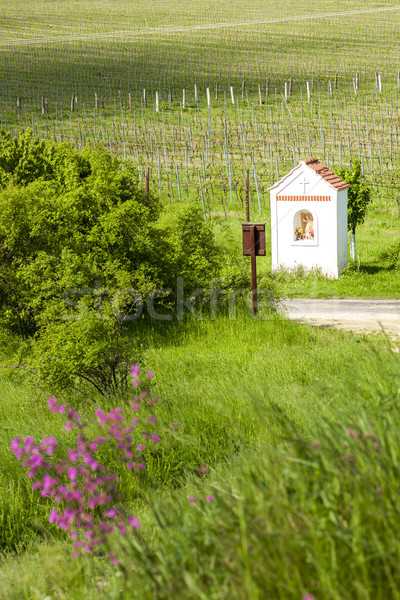 God's torture near Hnanice with spring vineyard, Southern Morav Stock photo © phbcz